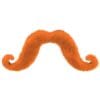 Mustache Orange