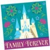 Frozen Napkins Beverage 16Ct