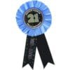21st Brilliant Birthday Award Ribbon 2 21St Brilliant Birthday Award Ribbon