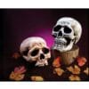 Skull Head 8" Plastic Astd
