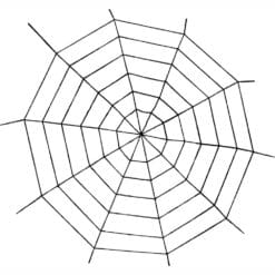 Spider Web Black Widow Rope 5ft