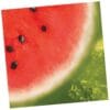 Watermelon Cheer Napkins Lunch 16CT