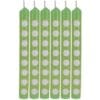 Fresh Lime W/Dots Candles 12Ct