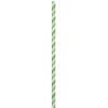 Fresh Lime/Wht Stripe Paper Straws 24CT