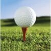 Golf Fanatic Napkins Lunch 18CT