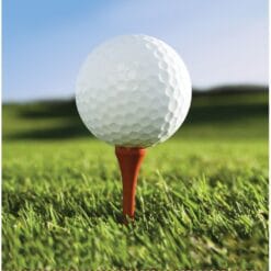 Golf Fanatic Napkins Lunch 18CT