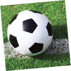 Soccer Fanatic Napkins Beverage 18CT