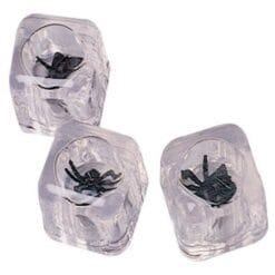Spiders In Ice Joke 12CT