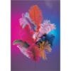 Ostrich Plume - Pink : 12"-15"