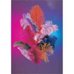 Ostrich Plume - Pink : 12"-15"