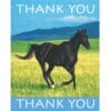 Wild Horses Thank You Notes 8Ct