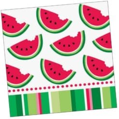 Watermelon Stripe Napkins Beverage 18CT