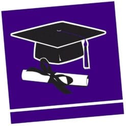 Purple Grad Napkins Beverage 36CT