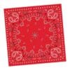 Bandanarama Napkins Beverage 16CT