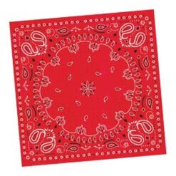 Bandanarama Napkins Beverage 16CT