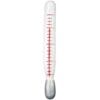 Jumbo Thermometer 1 Jumbo Thermometer