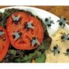 Creepy Flies 12PCS 2 Creepy Flies 12Pcs