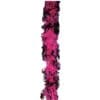 Boa Fuchsia/Black 70GM Turkey