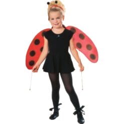 Ladybug Accessory Kit Child