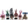 Fancy Feather Mask Assorted 2 Fancy Feather Mask Assorted