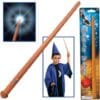 Light Up Wizard Wand