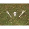 Buried Alive Skeleton Parts