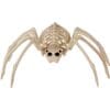 Spine Chilling Spider Skeleton 20&Quot;