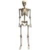 Skeleton 60&Quot; Animated, Morphing, Talking W/Light-Up Eyes