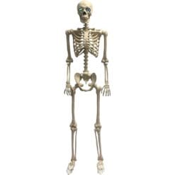 Skeleton 60" Animated, Morphing, Talking w/Light-Up Eyes