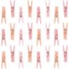 Pink Clothespi Favors Astd 24Ct