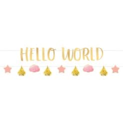 Hello World Baby Girl Banner Kit
