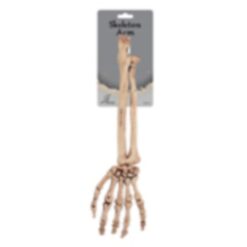 Skeleton Arm 14"