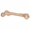 Skeleton Bone 9"