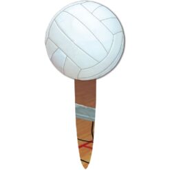 Volleyball Party Picks 24CT