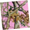 Pink Camo Napkins Lunch 16CT