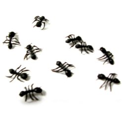 Ants Fake 10pcs