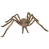 Spider Light Brown 40.9in 2 Spider Light Brown 40.9In