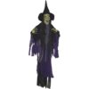 Witch Hanging Sonic 51" 2 Witch Hanging Sonic 51&Quot;