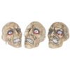 Rotten Skull Asst - (3)