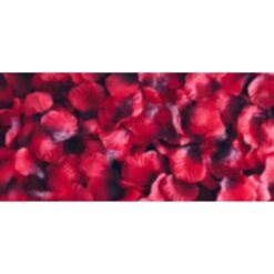 Rose Petals Red 2000Pcs