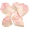 Rose Petals Pink 2000Pcs