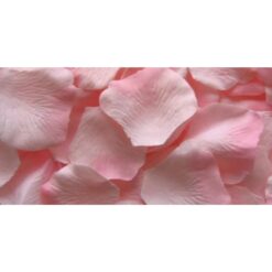 Rose Petals Pink 2000Pcs