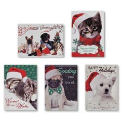 Cmas Boxed Cards Photo Pets 12CT