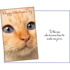 GC Happy Valentine's Day w/Cat Face