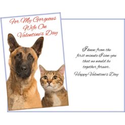 GC For My Georgeous Wife On Valentine's