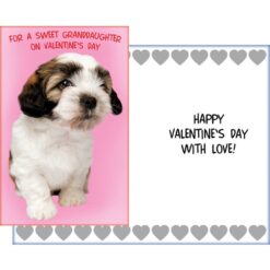 GC Sweet Granddaughter On Valentines