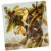 Tropical Toucan Napkins Lunch 24CT 1 Tropical Toucan Napkins Lunch 24Ct
